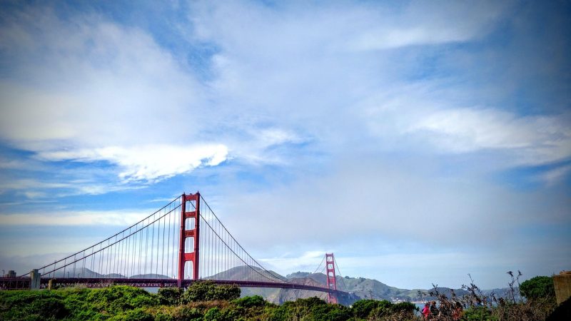 顺丰查询 场景参考图